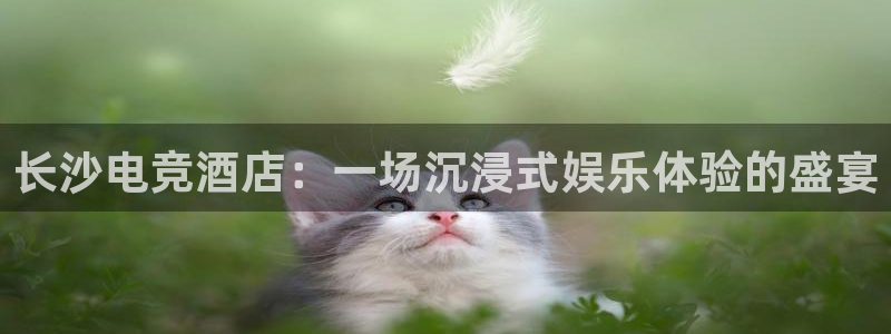 完美电竞|官网：长沙电竞酒店：一场沉浸式娱乐体验的盛宴