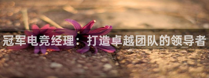 完美电竞大会员：冠军电竞经理：打造卓越团队的领导者