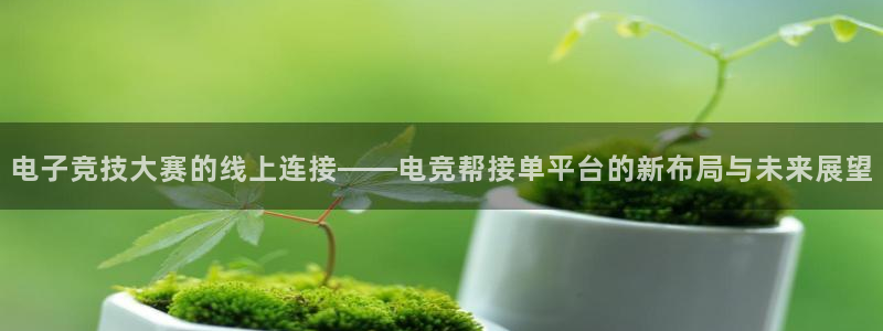 完美电竞对战：电子竞技大赛的线上连接——电竞帮接单平台的新布局与未来展望