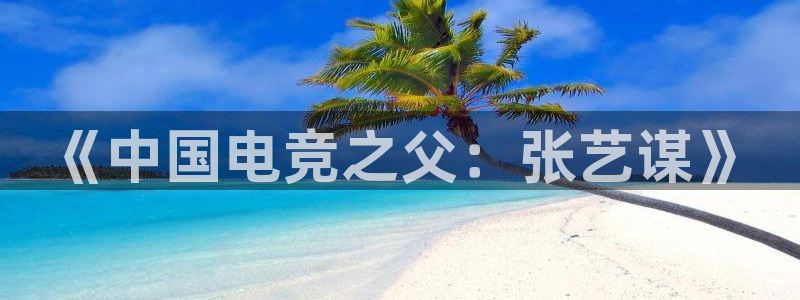 完美电竞注册：《中国电竞之父：张艺谋》