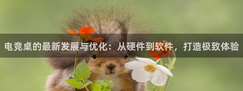 完美电竞查询：电竞桌的最新发展与优化：从硬件到软件，打造极致体验