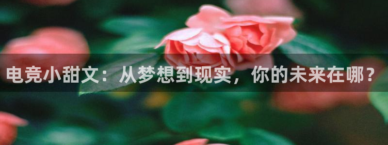 完美电竞查询：电竞小甜文：从梦想到现实，你的未来在哪？