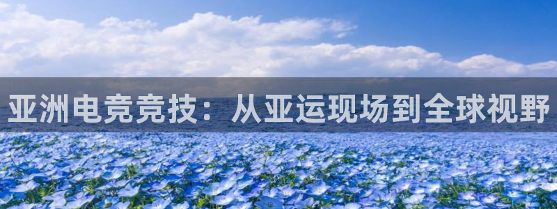 完美电竞手机app：亚洲电竞竞技：从亚运现场到全球视野