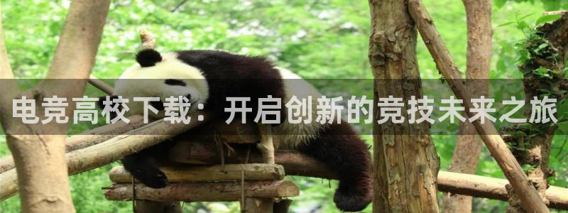 完美电竞世界：电竞高校下载：开启创新的竞技未来之旅