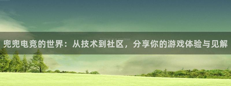 完美电竞世界平台下载：兜兜电竞的世界：从技术到社区，分享你的游戏体验与见解