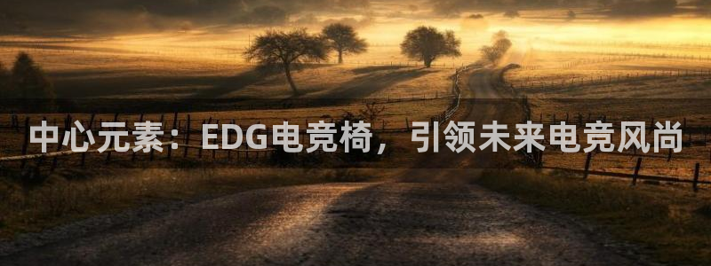 完美电竞官网盛大升级：中心元素：EDG电竞椅，引领未来电竞风尚