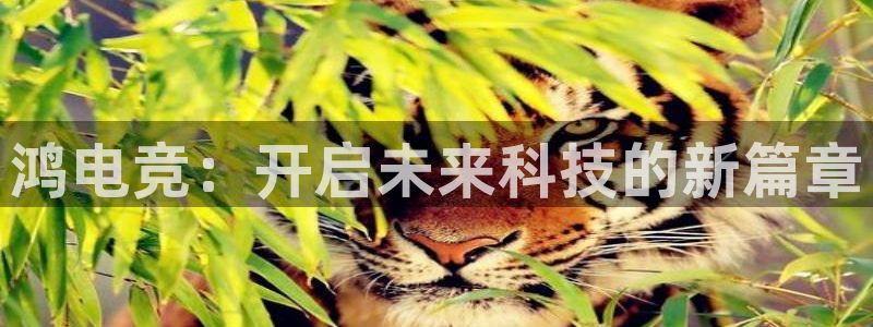csgo完美电竞：鸿电竞：开启未来科技的新篇章