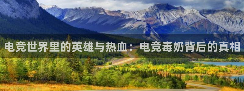 完美电竞世界平台下载：电竞世界里的英雄与热血：电竞毒奶背后的真相