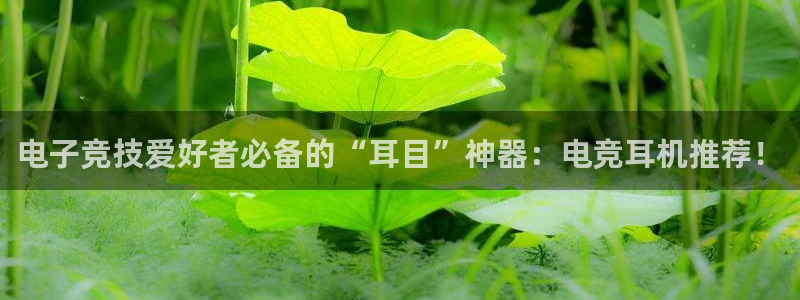 完美电竞cs：电子竞技爱好者必备的“耳目”神器：电竞耳机推荐！