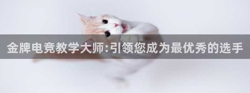 完美电竞世界：金牌电竞教学大师:引领您成为最优秀的选手