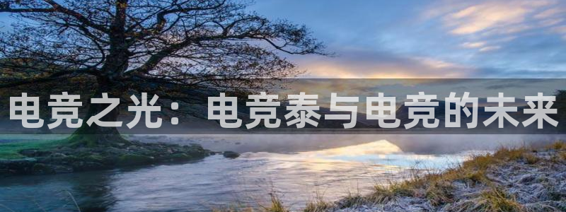 完美电竞竞技平台：电竞之光：电竞泰与电竞的未来