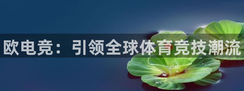 完美电竞直播：欧电竞：引领全球体育竞技潮流