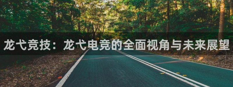 完美电竞app：龙弋竞技：龙弋电竞的全面视角与未来展望