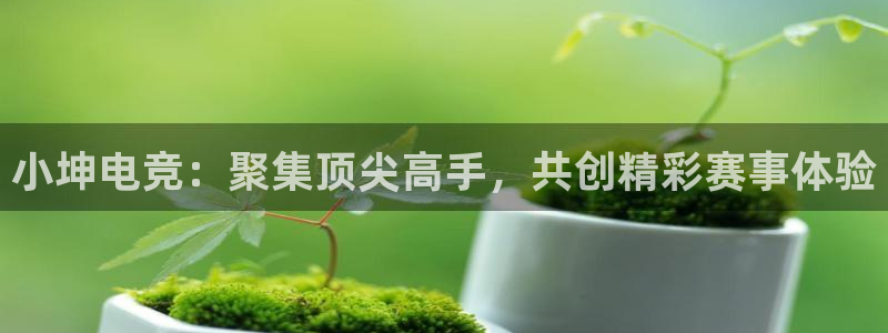 完美电竞对战平台：小坤电竞：聚集顶尖高手，共创精彩赛事体验